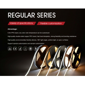 <strong>REGULAR SERIES</strong>
